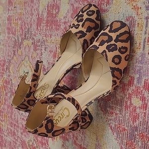 Leopard block heels w straps. Circus by Sam Edelman Style - Joelle